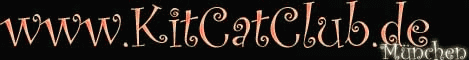 Kitty Cat Club M�nchen - Dresscode nur Rubber, Leather, Latex, TV, Uniform oder Gothic.